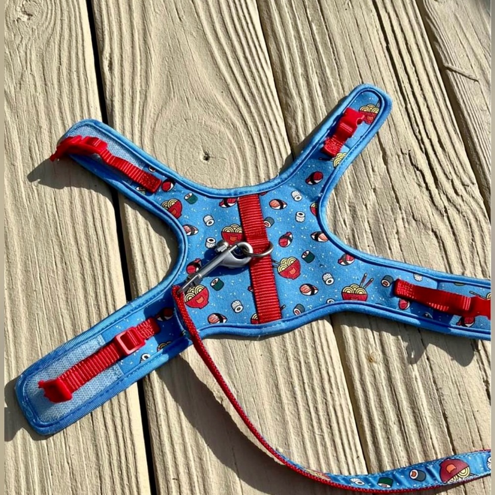 Kitten leash & harness